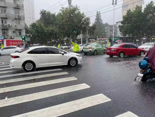 合肥雨不停 他们彻夜无眠