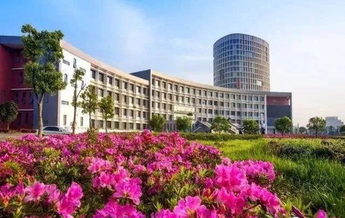 专科就比本科差 全国最好的五所专科大学,就业率高,有你母校吗