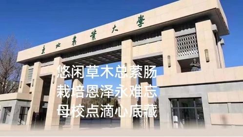 传承东农精神,铸魂 食 代新人 食品学院2023年毕业季特色系列活动