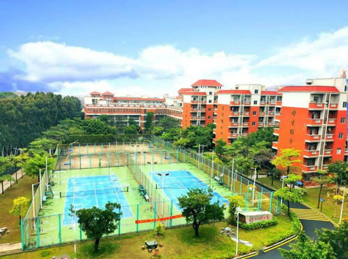 快看 泉州轻工学院2021年招生简章来啦