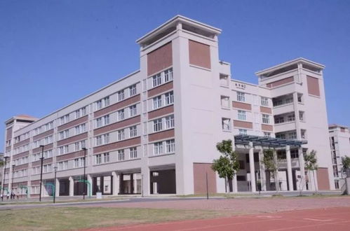 公益教育 因心疼孩子,河南一家长自费百万在校门口修建天桥