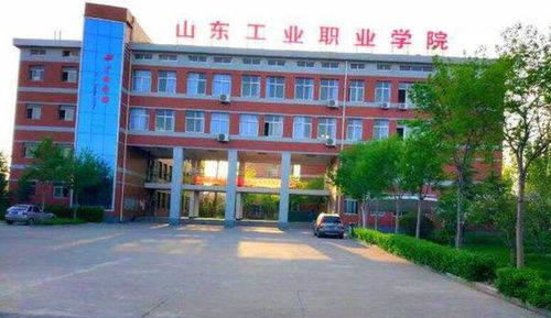 山东工业职业学院性质解析
